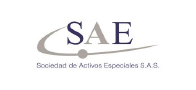 sae_Mesa de trabajo 1